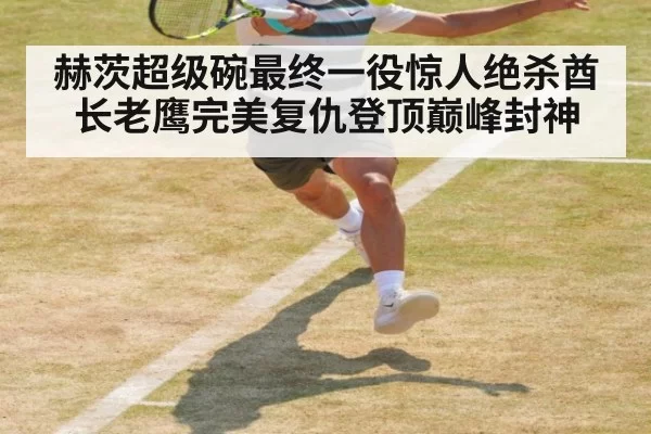 赫茨超级碗最终一役惊人绝杀酋长老鹰完美复仇登顶巅峰封神