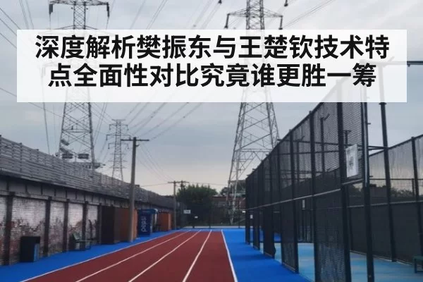 深度解析樊振东与王楚钦技术特点全面性对比究竟谁更胜一筹
